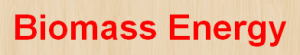 Biomass Energy